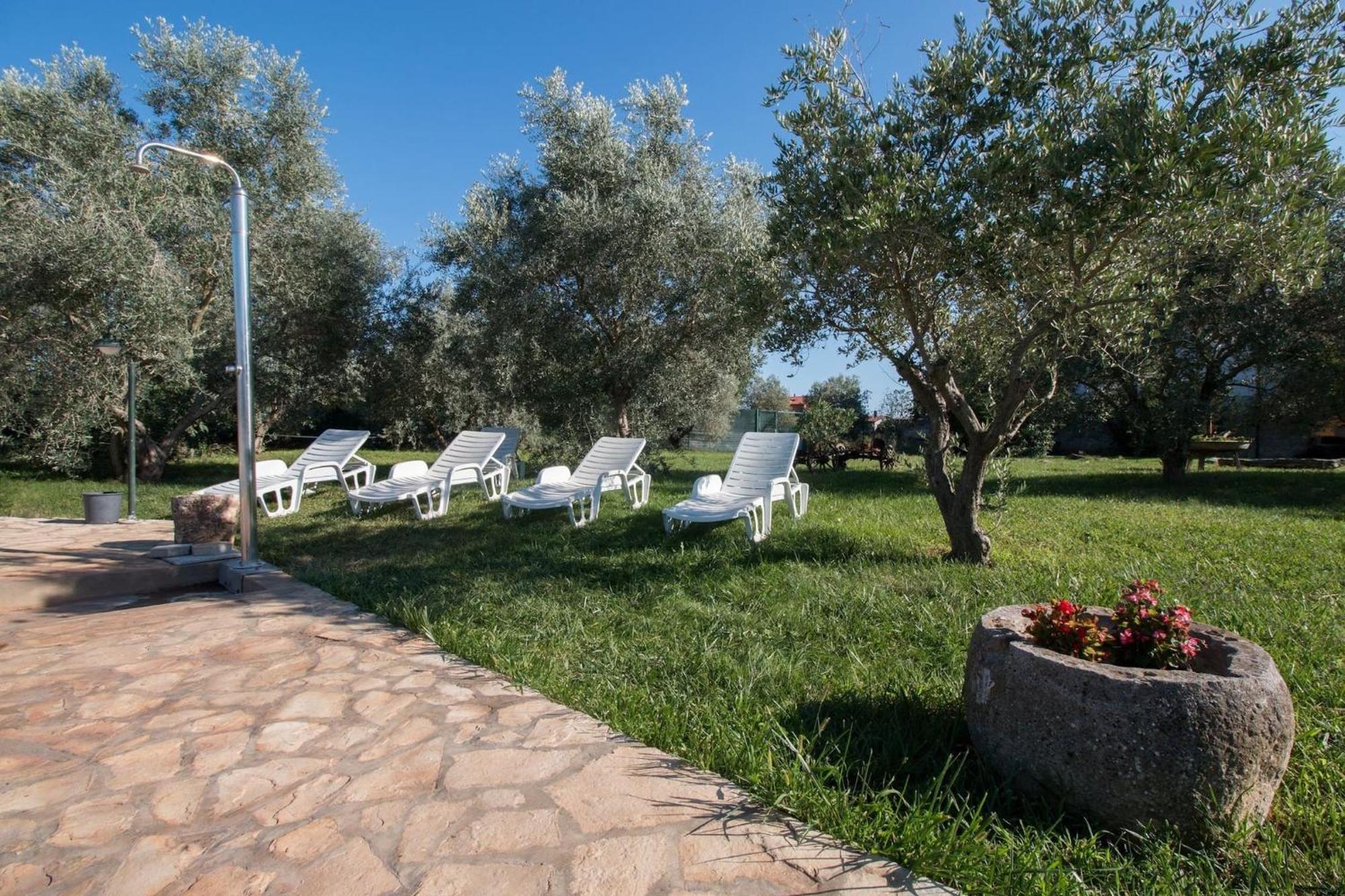 Marceta - Apartments & Rooms With Swimming Pool Fazana Exterior photo
